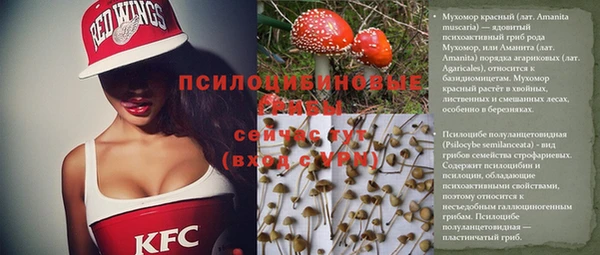 дурь Заволжье