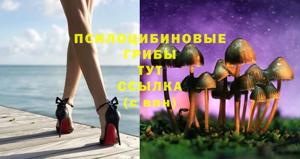 спайс Заволжск