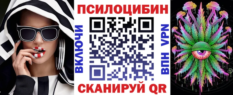 Купить  Далматово  Галлюциногенные грибы Cubensis 