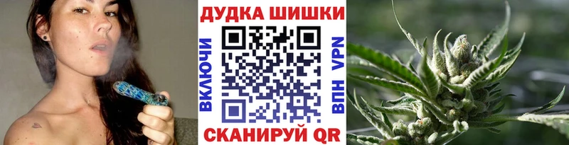 Купить закладки  Далматово  Каннабис сатива 